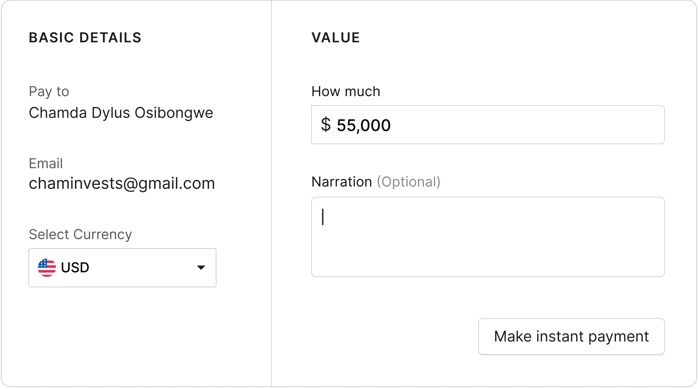 USD & Multi-Currency Payments